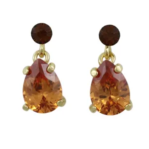 Brown Crystal Teardrop Dangling Pierced Earring - REC963