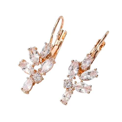 Women Clear Crystal Flower Cluster Earrings