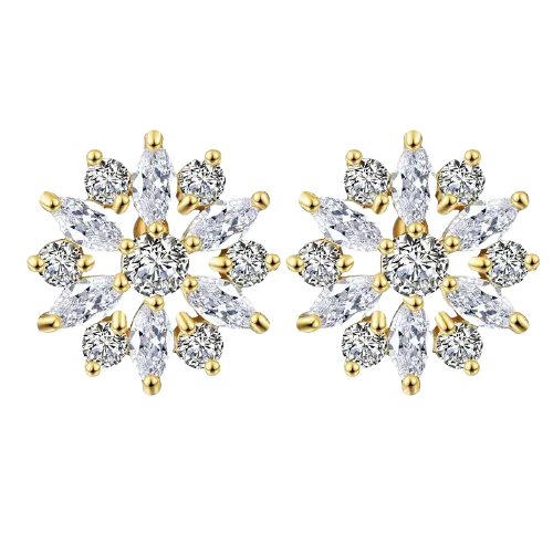 Women Clear Crystal Flower Cluster Earrings