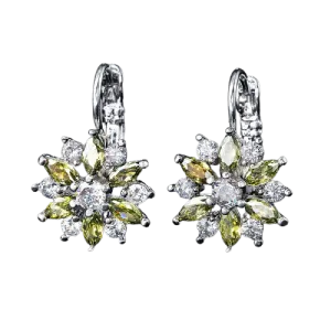 Women Clear Crystal Flower Cluster Earrings