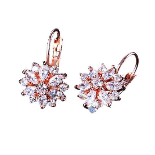 Women Clear Crystal Flower Cluster Earrings