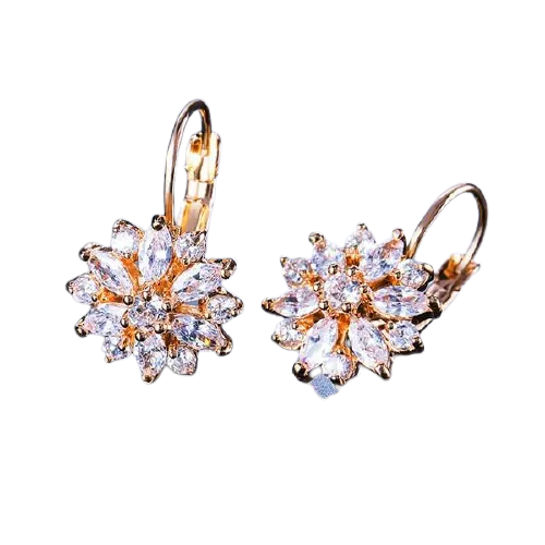 Women Clear Crystal Flower Cluster Earrings