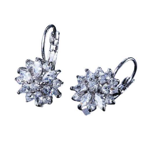 Women Clear Crystal Flower Cluster Earrings